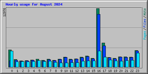 Hourly usage for August 2024