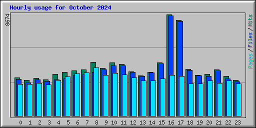 Hourly usage for October 2024