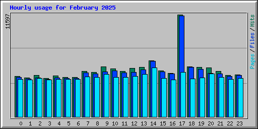 Hourly usage for February 2025
